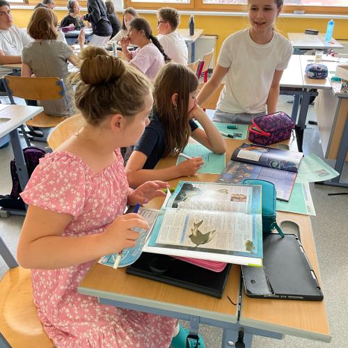 Bücherreise